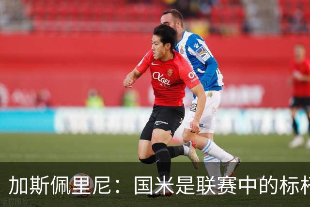 加斯佩里尼：国米是联赛中的标杆球队 明天我们全员均可出战